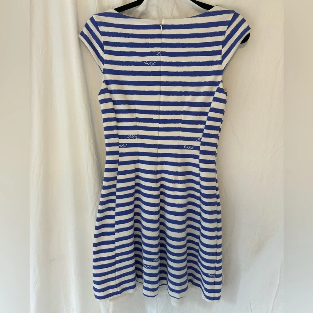 Lilly Pulitzer Briella Blue and White Striped Dress - Picture 6 of 7